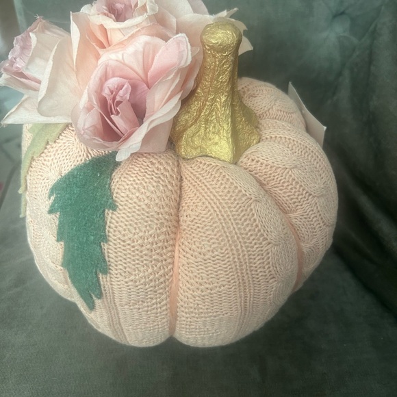 new - Holiday Fall Pumkin Decor - Picture 6 of 7